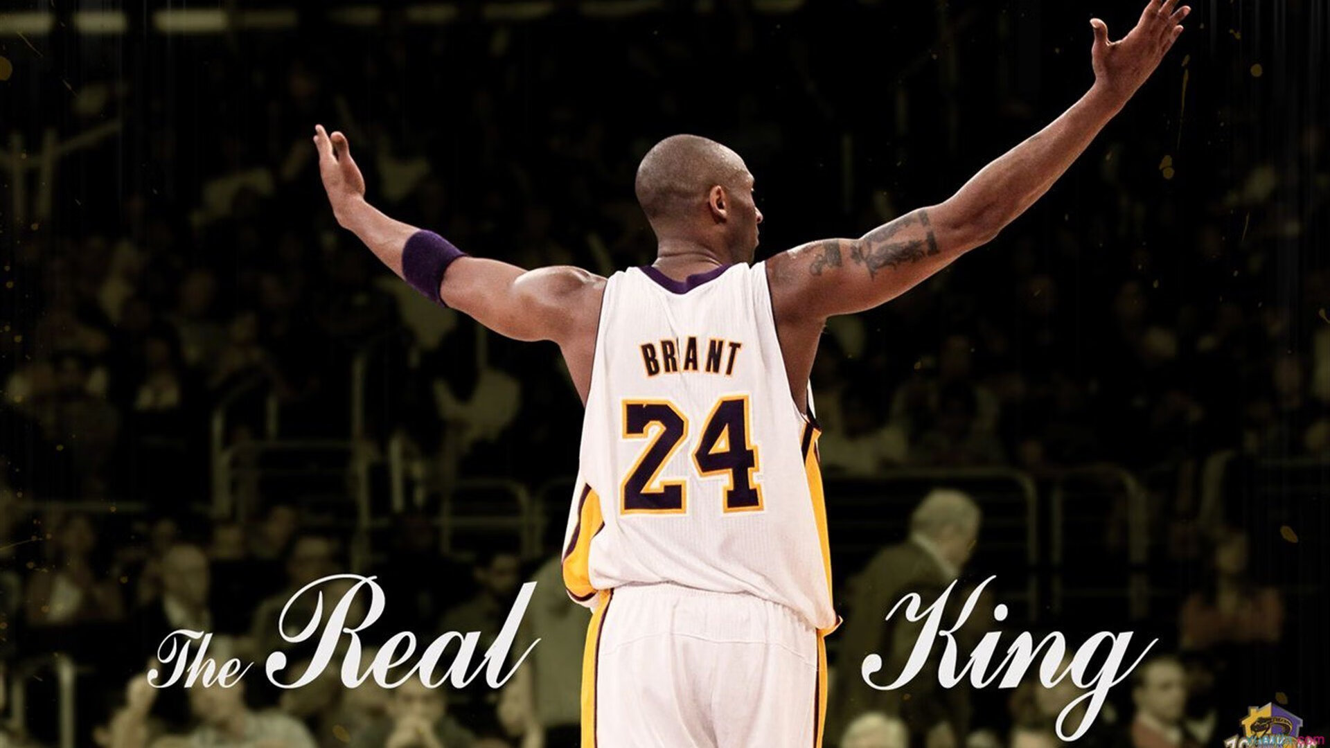 开云体育下载-“全民全运”燃动新疆—四季滑雪场迎客来